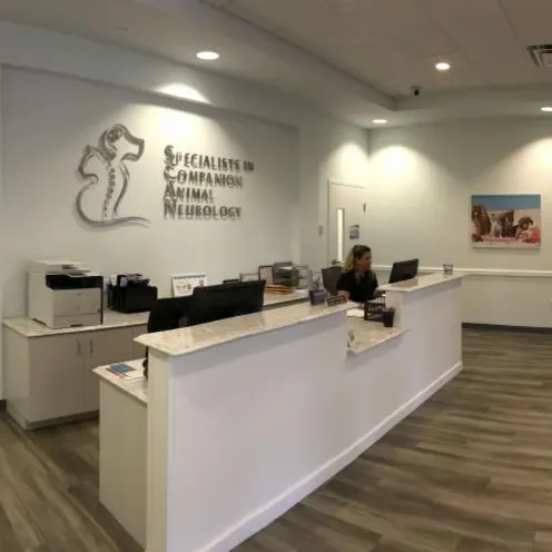 The front office at SCAN's Clearwater location